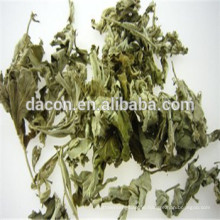 Folium Artemisiae Argyi Extract